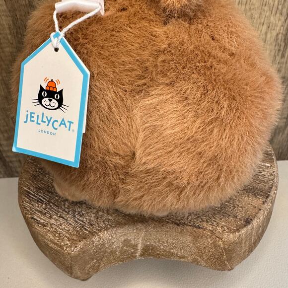 Jellycat Gordy Guinea Pig FAST SHIP NEW Jellycat Pet - Picture 8 of 8